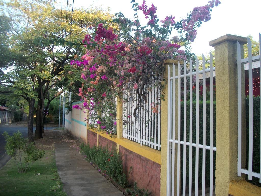 Hostal Casa Los Espinoza Managua Exteriör bild